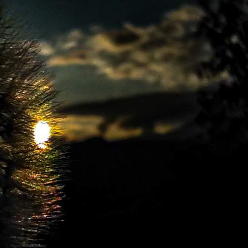 Photo #6821245