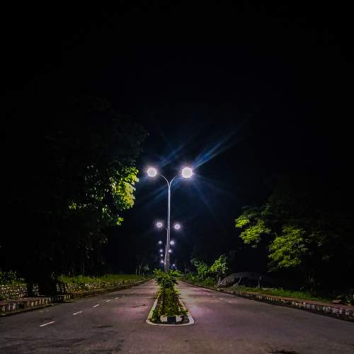 Photo #6821249