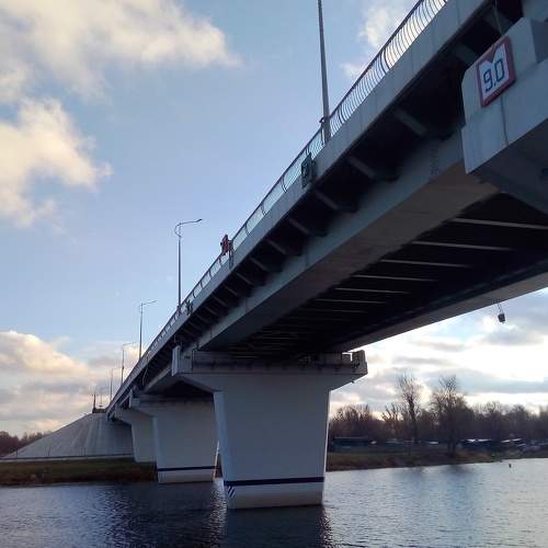 Photo #6821345