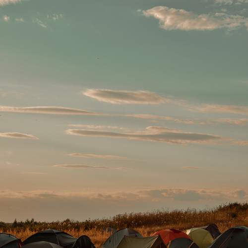Photo #6821881
