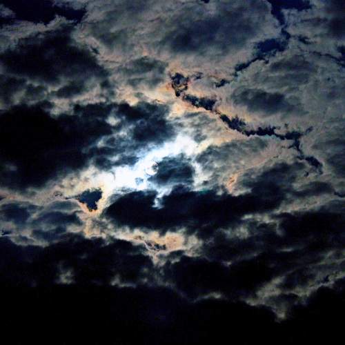 Photo #6822111