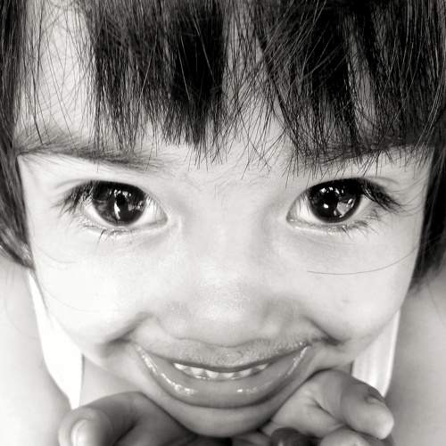 Photo #6822188