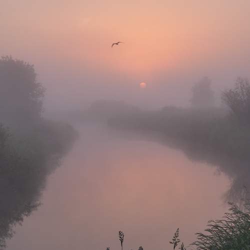 Photo #6822636