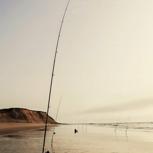 Photo #6823046