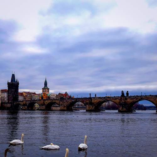 Photo #6823063