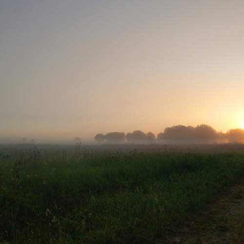 Photo #6823438