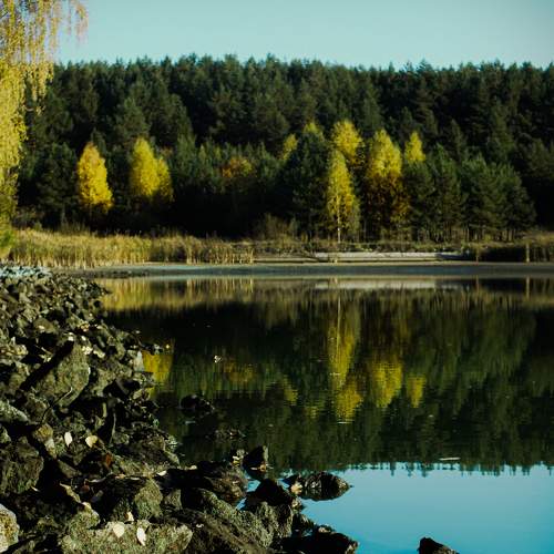 Photo #6823614