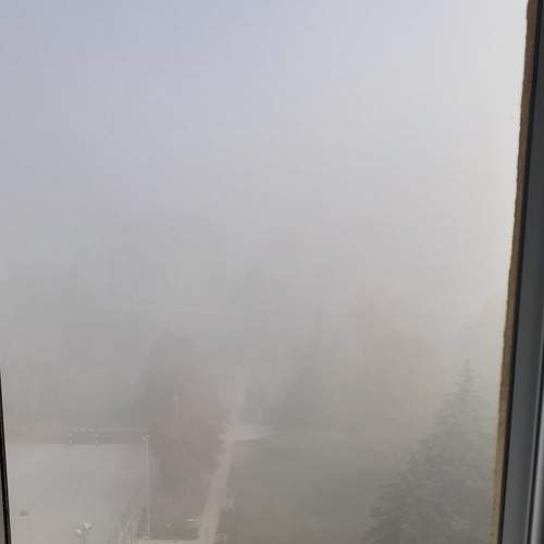 Photo #6823760