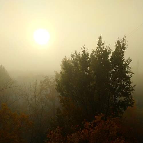 Photo #6824079