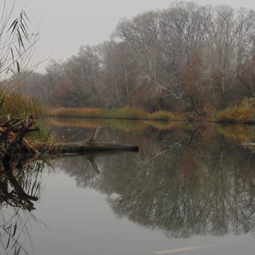 Photo #6824323