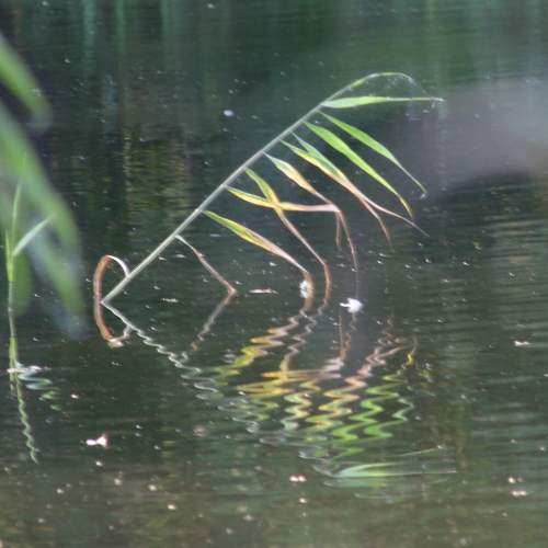 Photo #6824353