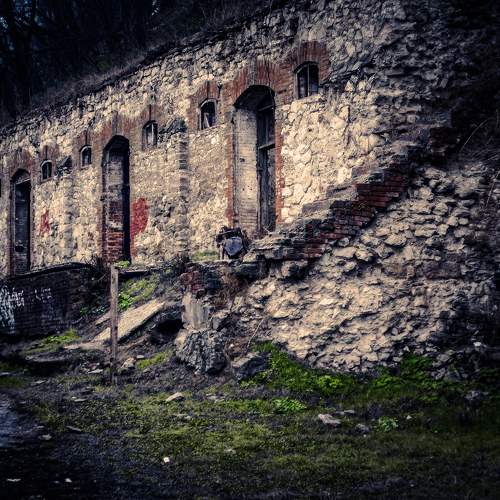 Photo #6824440