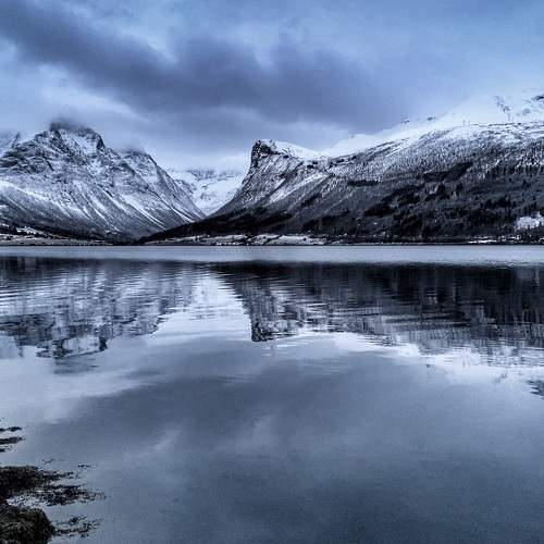 Photo #6824882