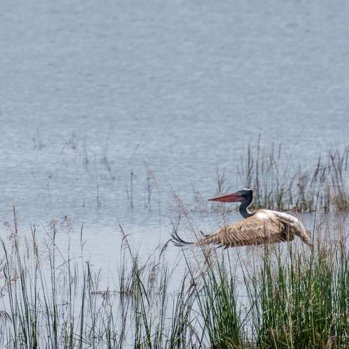 Photo #6825104