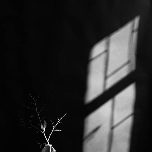 Photo #6825108