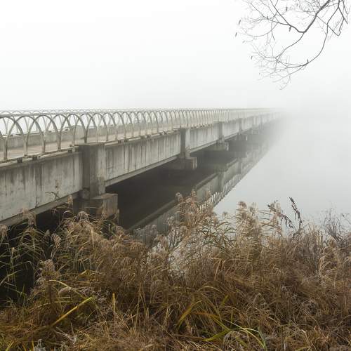 Photo #6825165