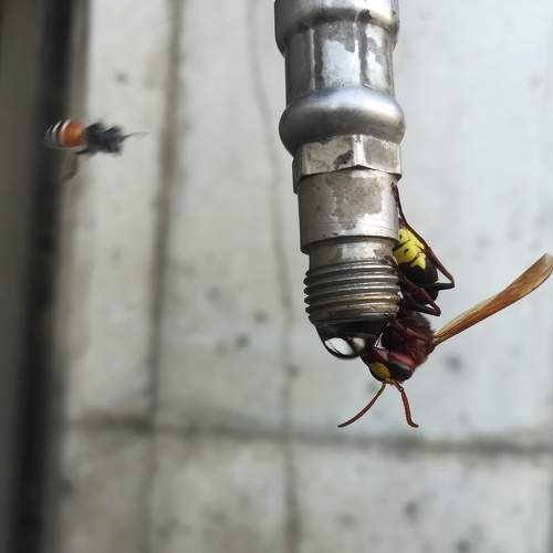 Photo #6825396