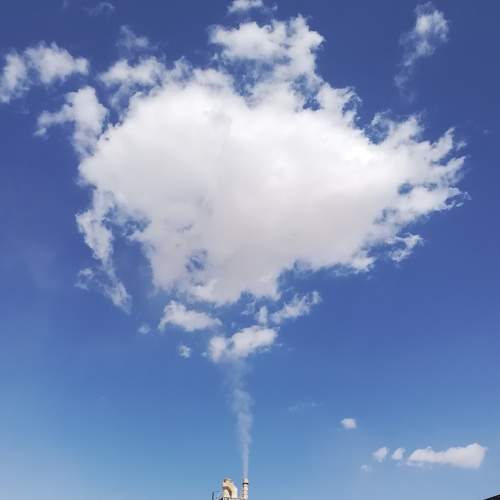 Photo #6825404