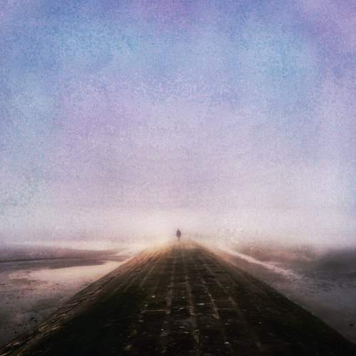 Photo #6825585