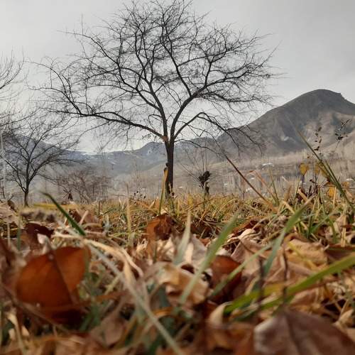 Photo #6825681