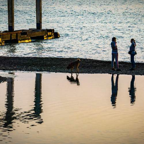 Photo #6826046
