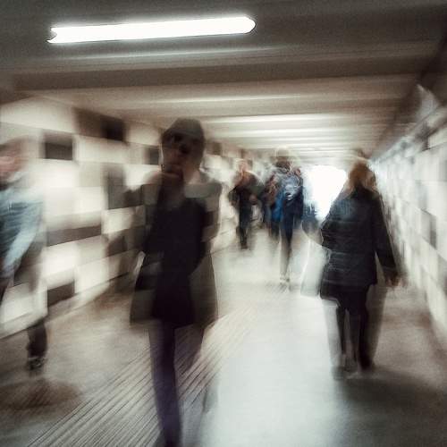 Photo #6826085