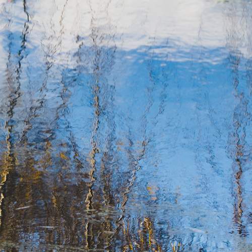 Photo #6826271