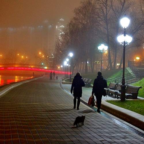 Photo #6826446