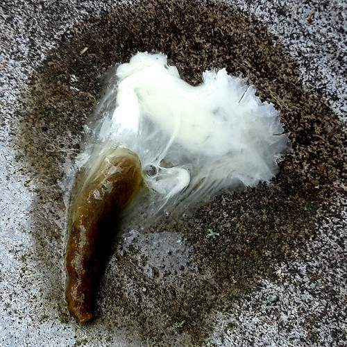Photo #6826518