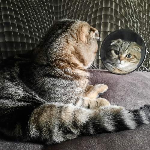 Photo #6826689