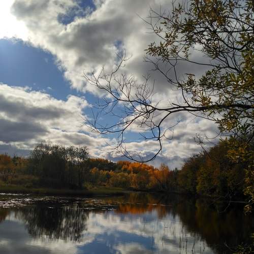 Photo #6826933