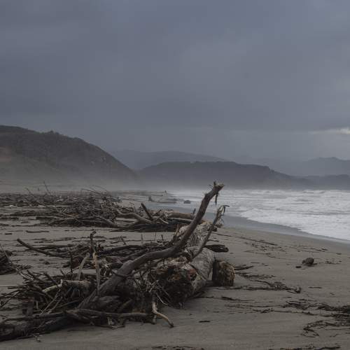 Photo #6826984