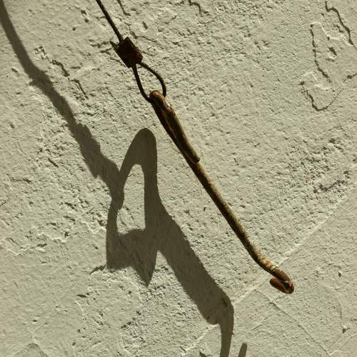 Фотография #6827332