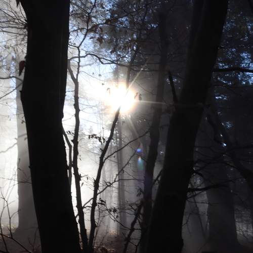 Photo #6827570