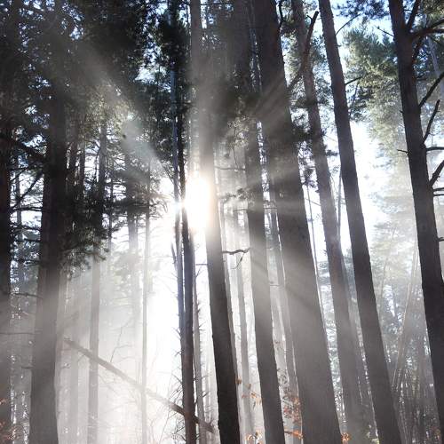 Photo #6827571