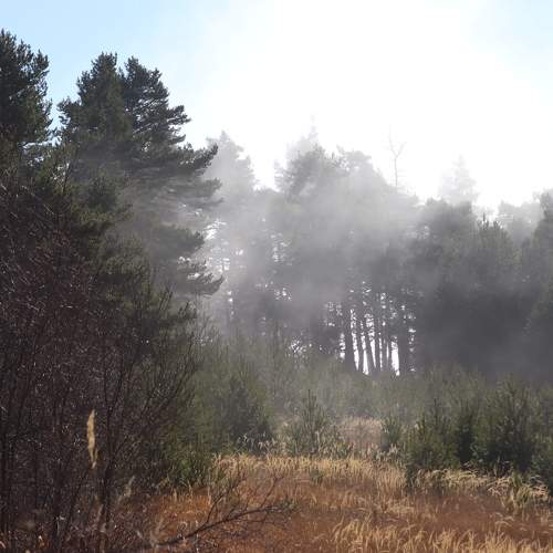 Photo #6827572