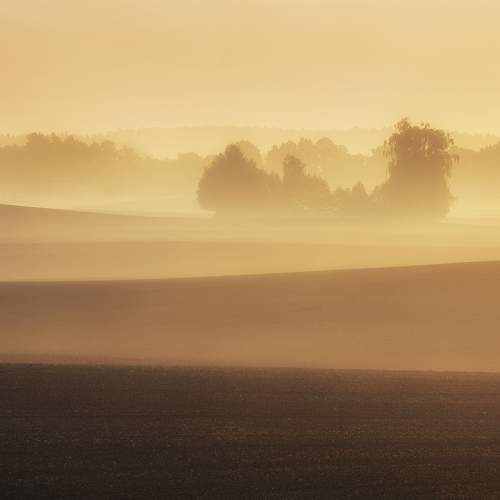 Фотография #6827635