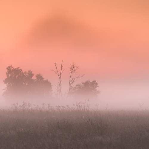 Фотография #6827645