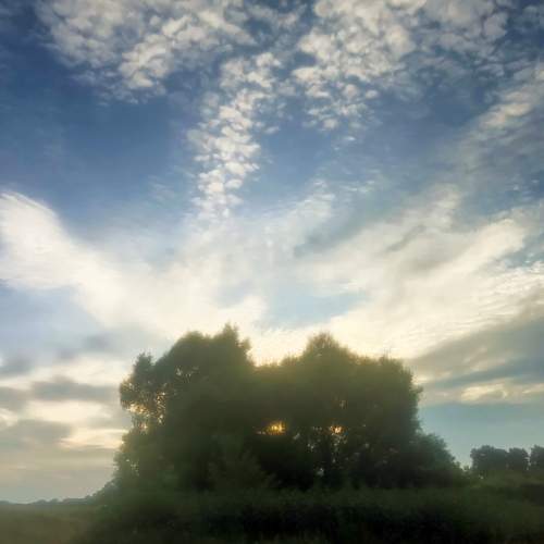 Photo #6827705
