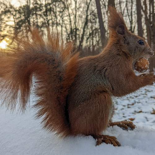Photo #6827992