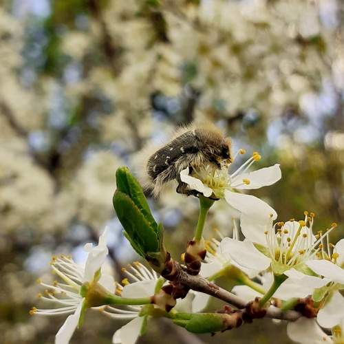 Photo #6828527