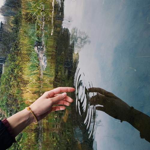Photo #6828589