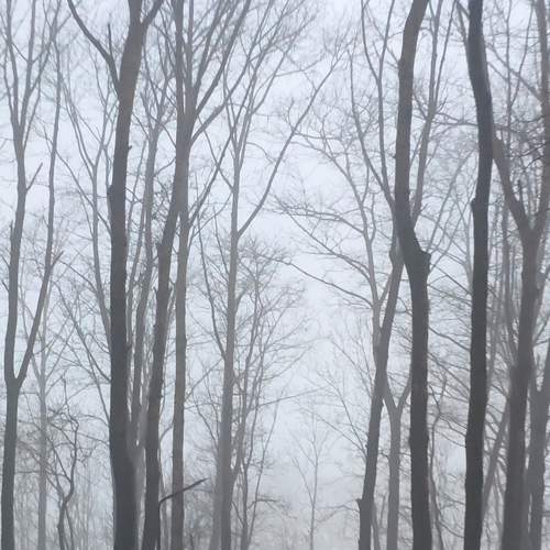 Photo #6828726