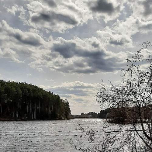 Photo #6828899