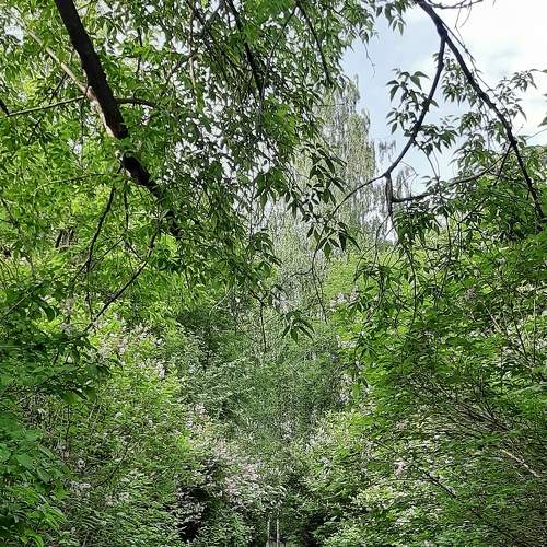 Photo #6828908