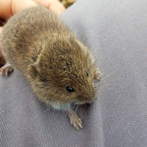Photo #6828928