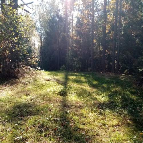 Photo #6829279