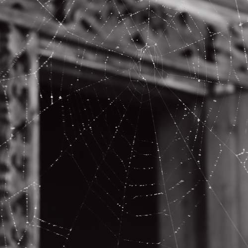 Photo #6829365