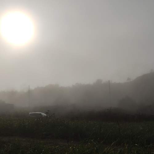 Photo #6829451