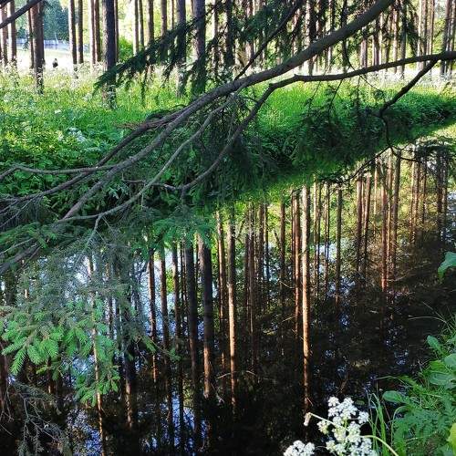 Photo #6829556
